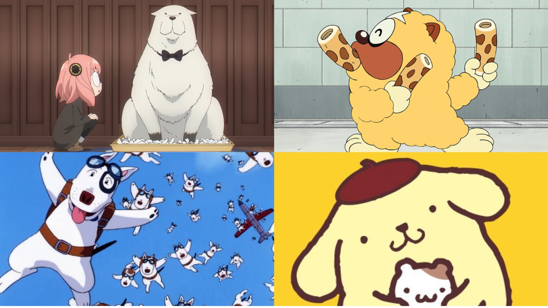 安妮亞的愛犬是哪種狗?你認得這些動畫狗狗的原型嗎