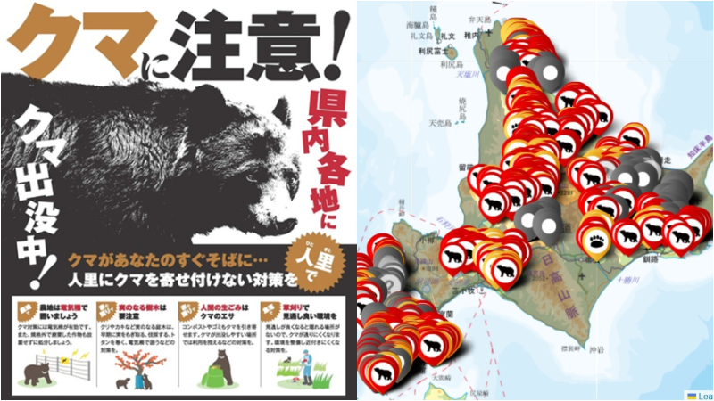 日本全國各地「熊出沒地圖」網站懶人包!前往北海道、東北、北陸旅遊前,先做好功課才能平安回家