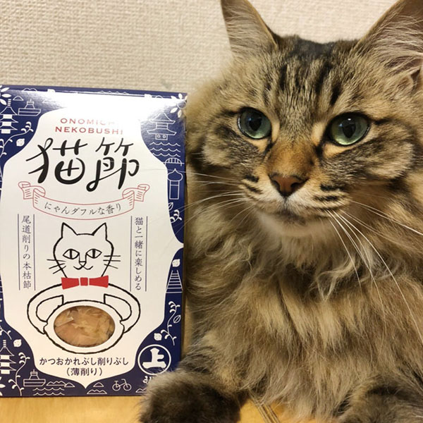 誰說伴手禮只能送人類？廣島必買伴手禮「貓節」柴魚片，讓寵物與奴才一起享受！