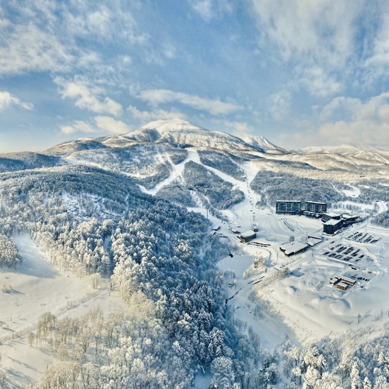 便宜又快速前往北海道二世谷玩雪！搭乘「二世谷直達接駁巴士」從新千歲機場輕鬆愜意前往