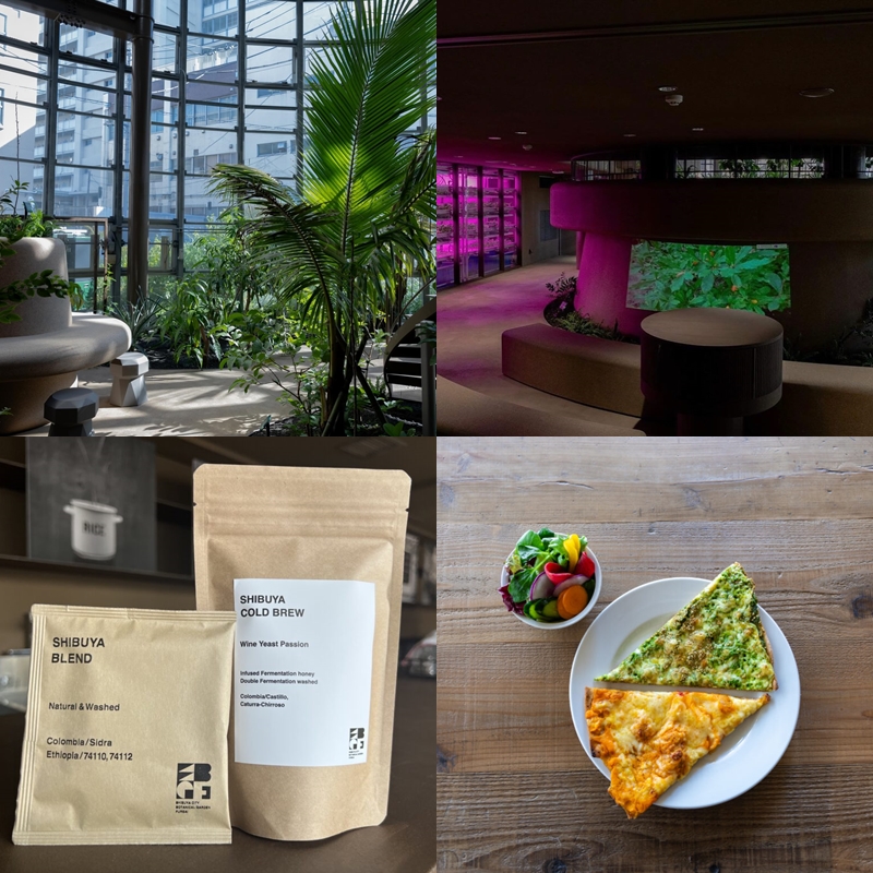 東京澀谷植物園中心咖啡廳介紹！讓植物來治癒下班後身心俱疲的你