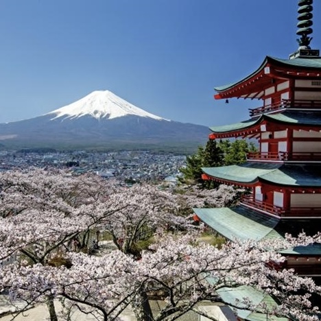 2025年東京賞櫻景點懶人包！遊船、野餐賞櫻景點10選推薦