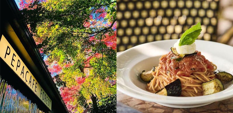 2025年賞楓季必訪！東京邊欣賞紅葉邊享受午餐的餐廳5選