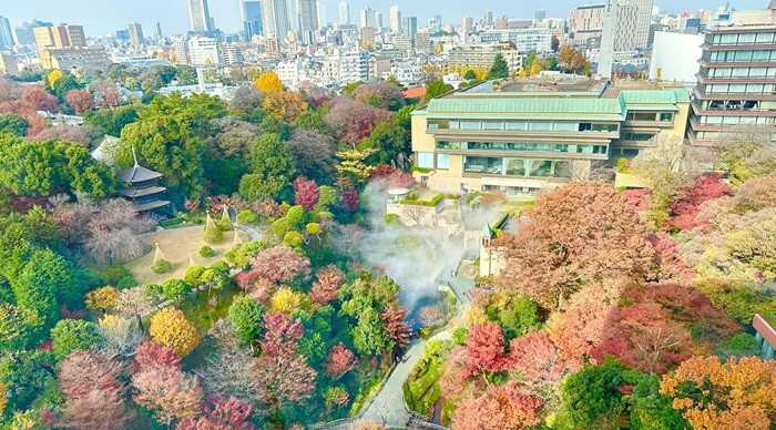不用到處追楓，在飯店就能坐覽紅葉美景！日本關東秋季夢幻住宿10選