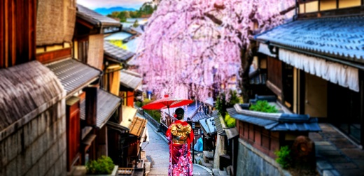 日本迎接外國旅客動起來！2022京都最新旅行須知＆漲價設施整理、關空特急列車「HARUKA」恢復班次