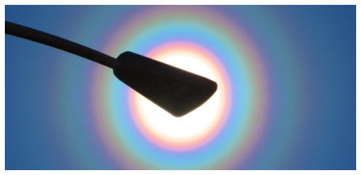 日本春天獨有的「花粉光環」！大量花粉飄散帶來的不只是花粉症，還有期間限定的美景