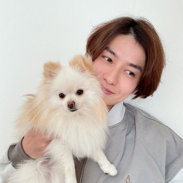 演員武田航平從假面騎士變身《經典杯子蛋糕》少女心上司!喜愛可愛東西的大男孩