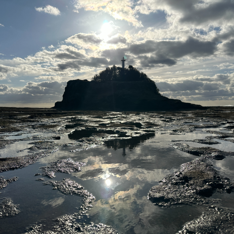 輕鬆參加和歌山一日遊！看貓咪站長、吃黑鮪魚、去天空之鏡「天神崎」拍出美照
