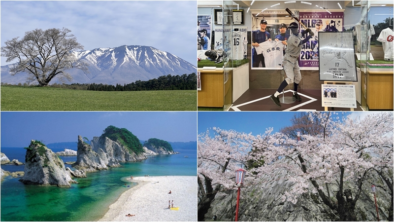 岩手必去景點10選推薦!孕育出宮澤賢治與大谷翔平的好山水