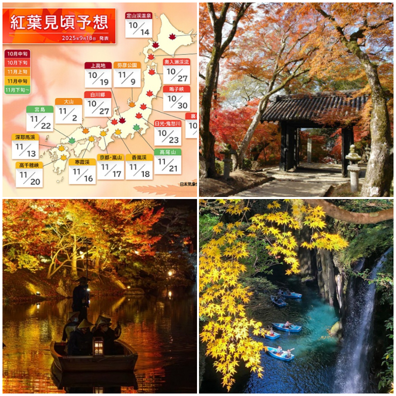 現在還來得及看紅葉！十一月十二月就去四國九州吧