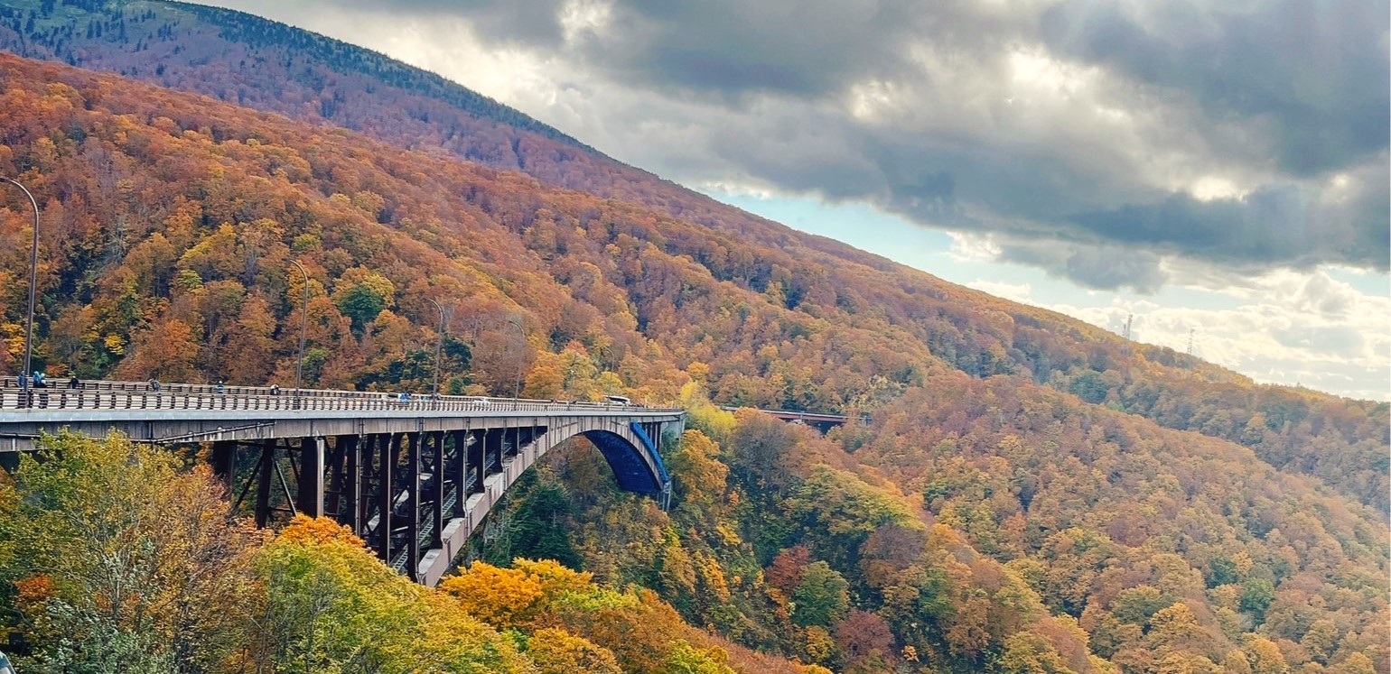 2025日本東北賞楓景點推薦上篇：超夢幻八甲田纜車＆城倉大橋紅葉！