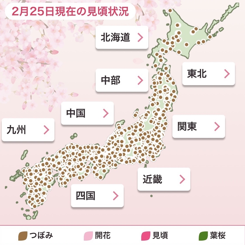 一看就知道哪裡還有櫻花和楓葉！超好用的日本神APP《Weather News》