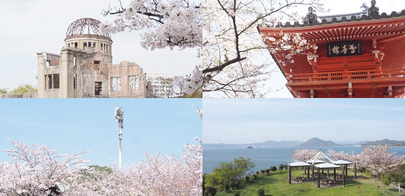 日本廣島櫻花景點10選推薦!來趟無人的櫻花秘境之旅吧