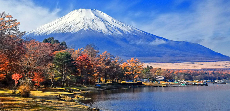 富士山 x 紅葉神組合！關東美照拍攝景點10選