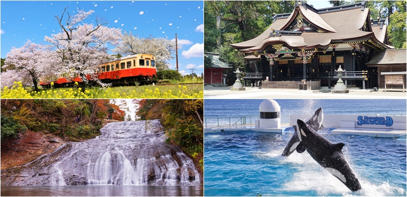 不只有迪士尼樂園，千葉必去景點10選推薦！有山有海、四季花卉，飽覽日本自然美景