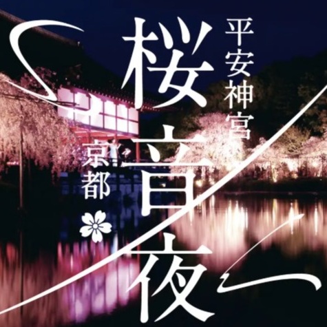賞夜櫻必訪！京都平安神宮「櫻音夜2026」紅枝垂櫻點燈 × 春夜音樂會浪漫登場