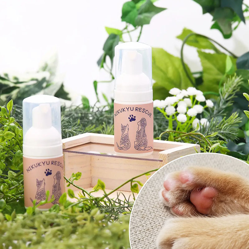 貓貓狗狗都能用的「肉球救星」，兼具保濕與清潔的毛孩日常保養好物推薦