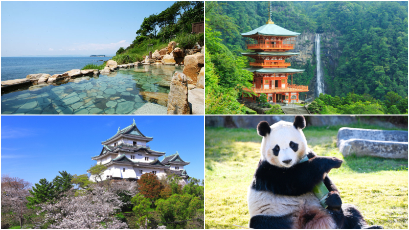 和歌山必去景點10選,貓咪站長見面會一定不能錯過!