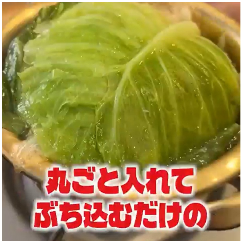 「Ryuji，我相信你！」日本網友超級歪樓「鹽味高麗菜雞肉鍋」食譜挑戰，流行到起承轉蛤