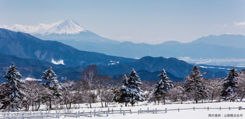 日本最古老的櫻花在哪裡？前往山梨北杜市來段浪漫之旅吧！