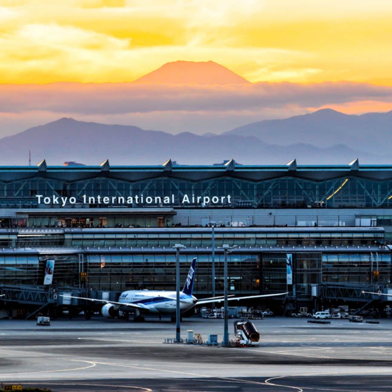 2025年台灣日本新航線總整理：台北・台中・高雄出發，星宇、華航、虎航等最新班表一次看！