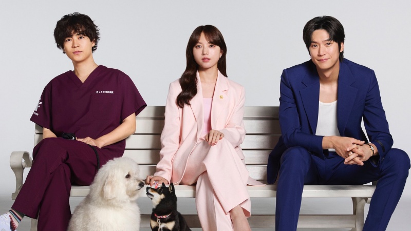 2025夏季日劇介紹《初戀DOGs》:狗狗牽起的緣分,展開跨越國界的三角戀情!