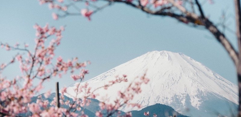 富士山旅遊優惠懶人包