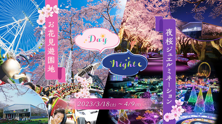 東京賞櫻秘境!東京都內規模最大級「讀賣樂園」夜櫻寶石燈飾秀必看