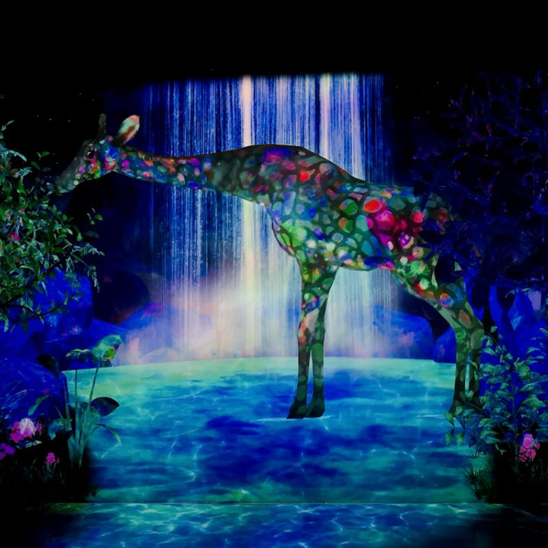 teamLab★Forest Fukuoka 福岡森林常設展參觀攻略