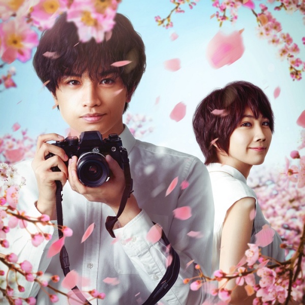 中島健人主演Netflix電影《我的櫻花戀人》即將上線！Mr.Children親自操刀譜寫主題曲〈永遠〉