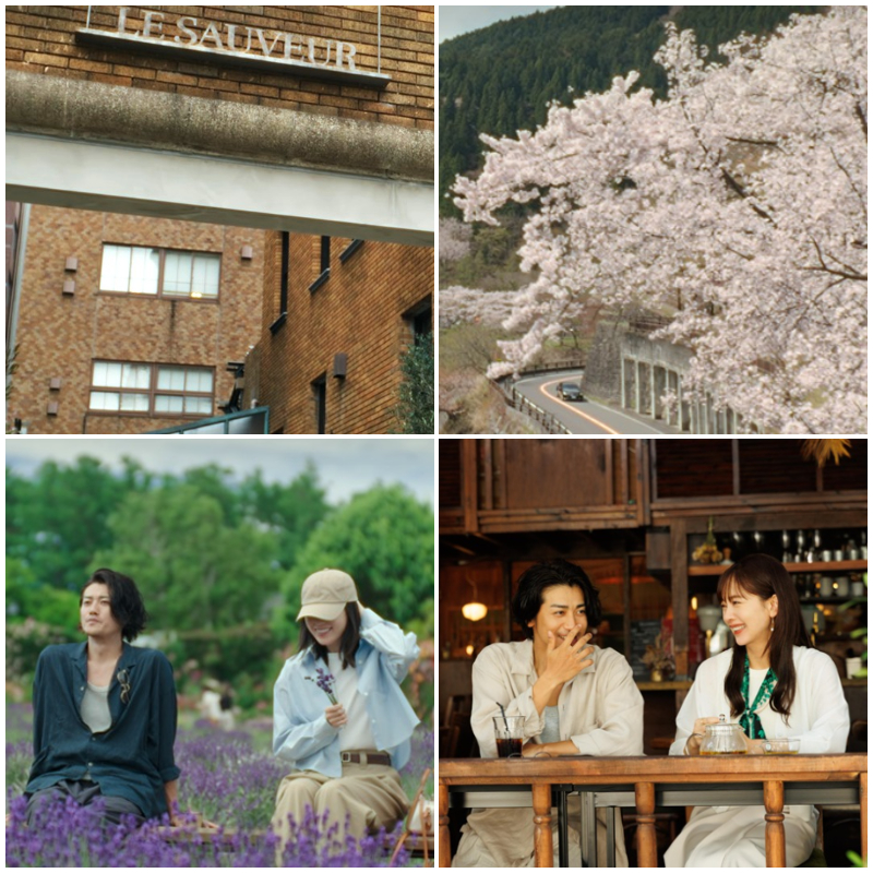 日劇《浪漫匿名者》聖地巡禮！品嚐美味巧克力、欣賞薰衣草田、山中湖景與櫻花雪隧道