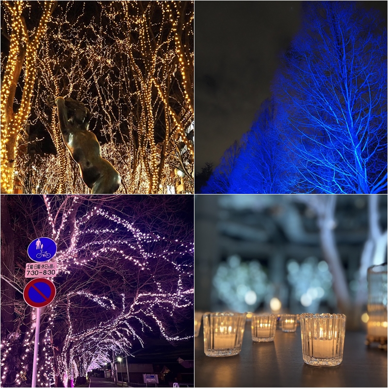 2023仙台冬季點燈活動特輯！睽違四年點燈的定禪通太美啦