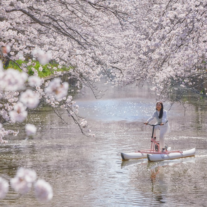 星野集團BEB5土浦春季限定活動!邊騎水上自行車邊賞櫻