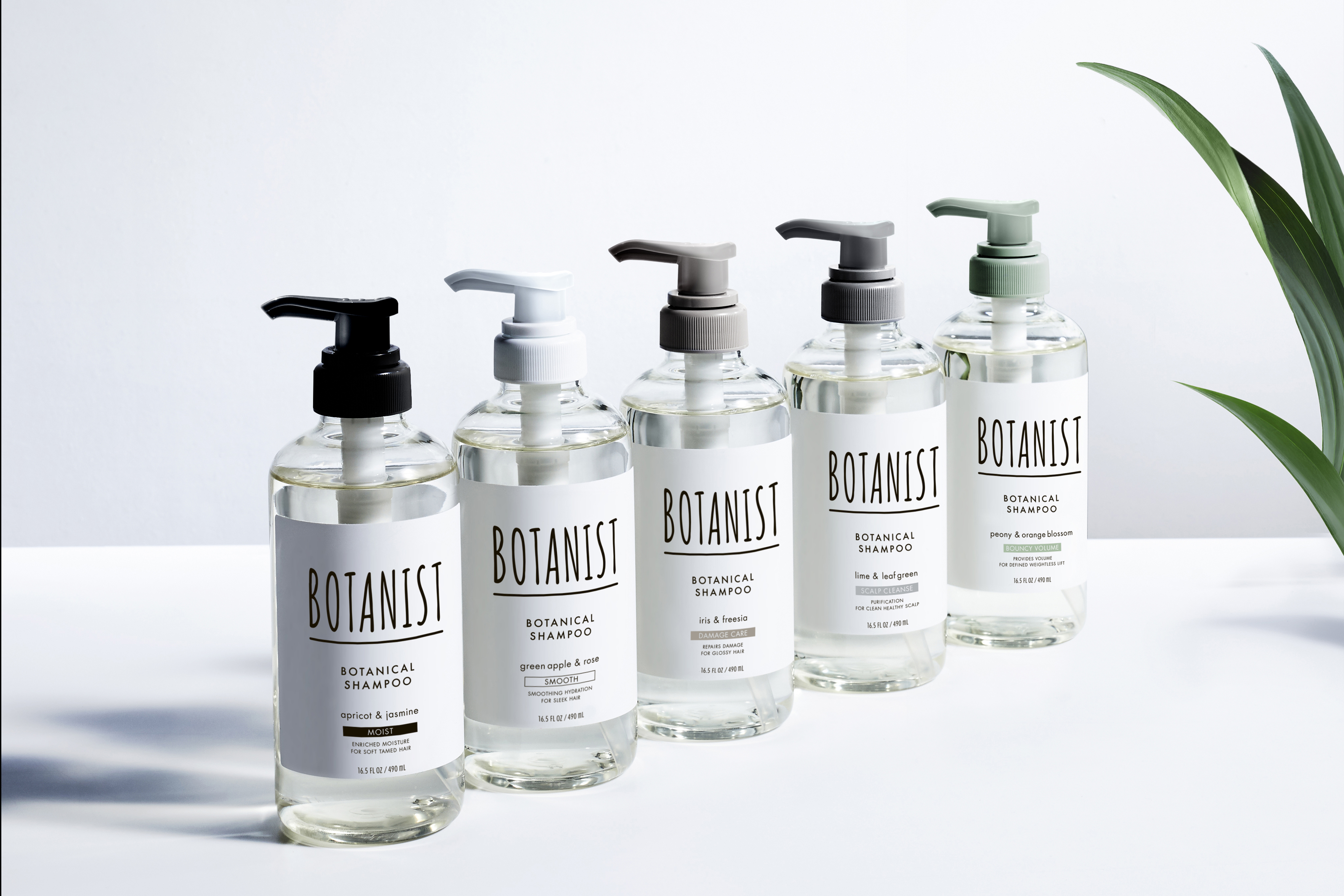 botanist GDA受賞 2021設計獎