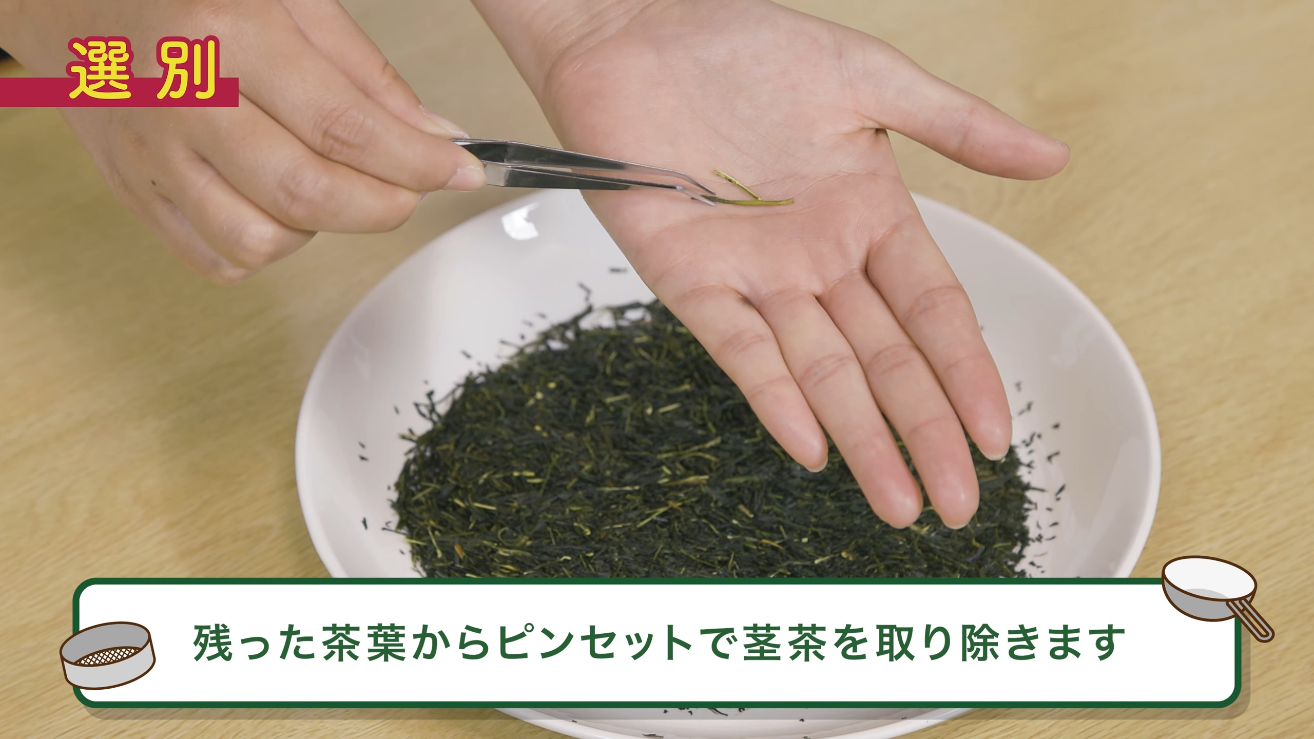 挑出茶莖