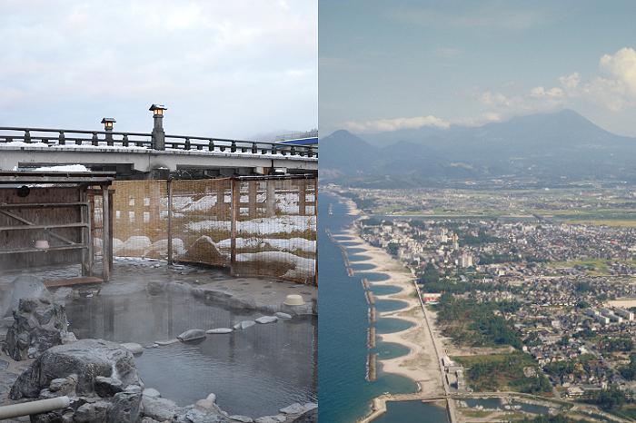 中秋送禮不送月餅改送夢幻水梨如何送鳥取縣產地直送的「新甘泉梨二十世紀梨」N2
