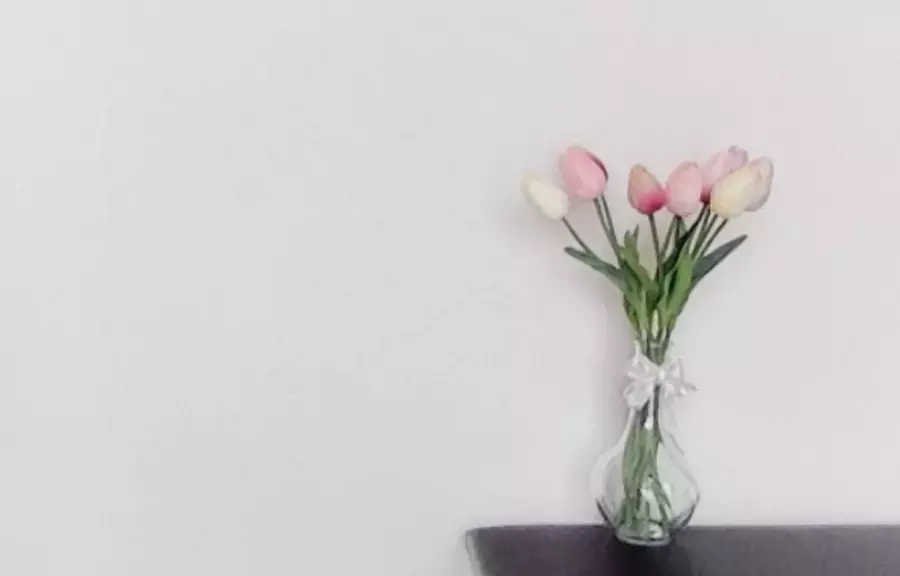 遠距視訊會議可在背景加個簡單小擺設