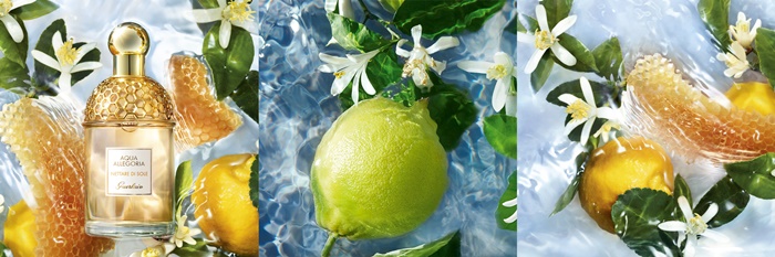 蜜漾晨光