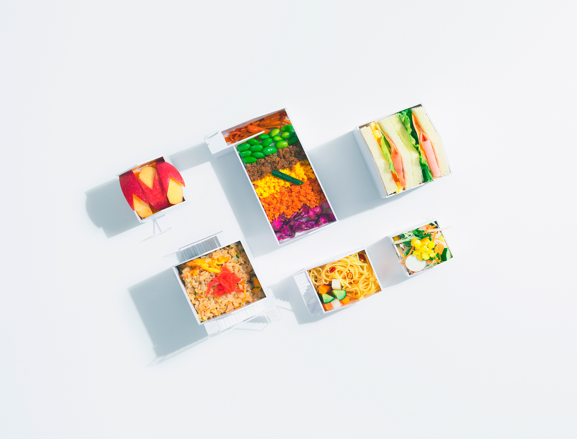 建築便當盒_ Tokyo_Apartment