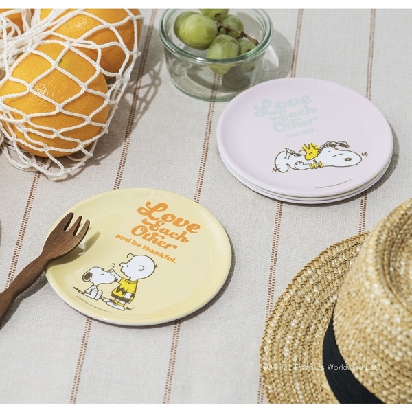 史努比圓盤2件組顏色細節