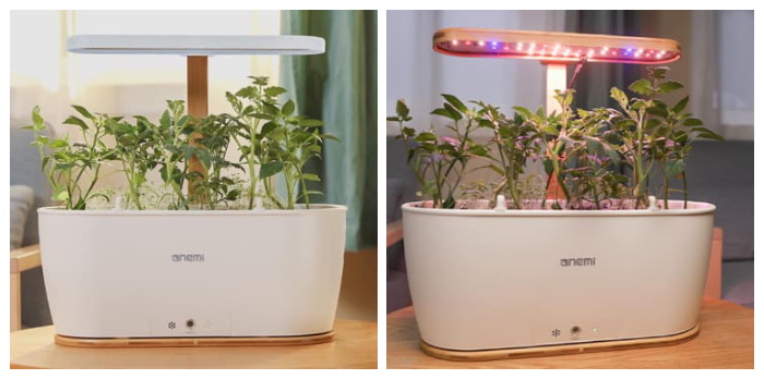 Onemi_桌上型果菜園