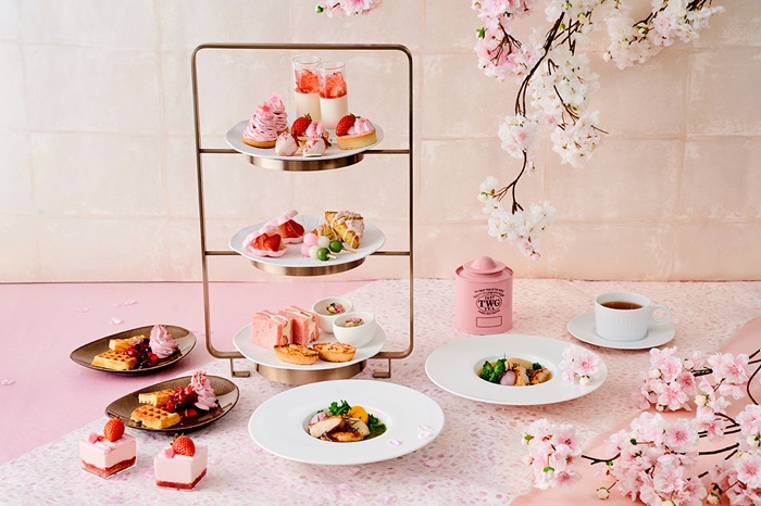 Cafe & Dining ZelkovA