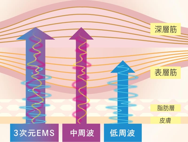 Lourdes_按摩墊_ems墊_按摩效果