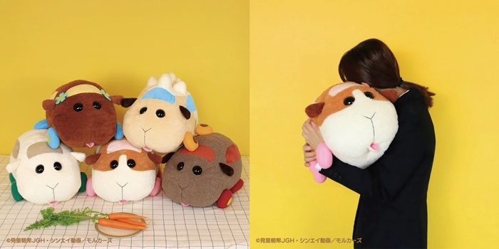 企劃DESIGN2點 天竺鼠車車抱枕