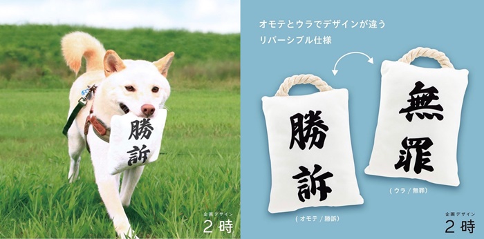 企劃DESIGN 2點 勝訴犬用玩具