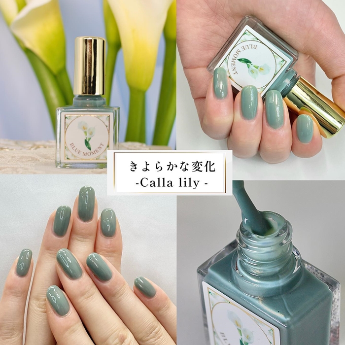 きよらかな変化 - Calla lily