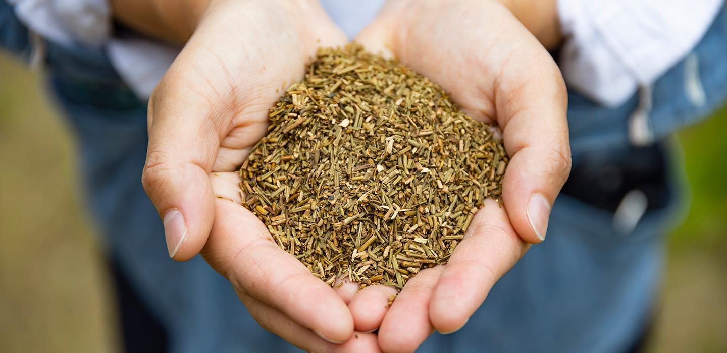 星巴克_JIMOTO_星冰樂_frappuccino_石川_棒焙茶