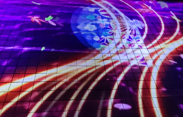 TOKYO_MEGA_ILLUMI_13
