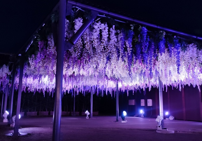 2022年東京大井競馬場「Tokyo Mega Illumi 」精彩燈光秀登場 TOKYO_MEGA_ILLUMI_24