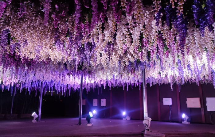 2022年東京大井競馬場「Tokyo Mega Illumi 」精彩燈光秀登場 TOKYO_MEGA_ILLUMI_23